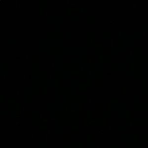 Meet your Posher, Willow